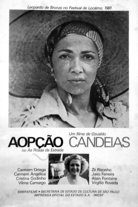 The Option (1981) movie poster