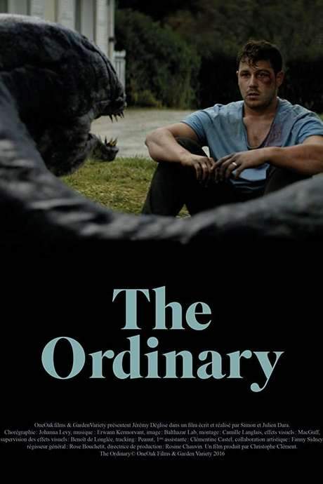 The Ordinary (2016) movie poster