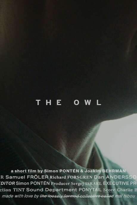 The Owl (2020) movie poster