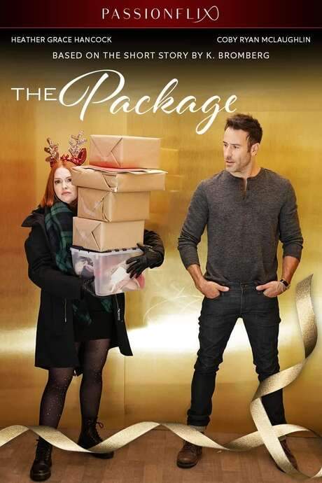 The Package (2020) movie poster