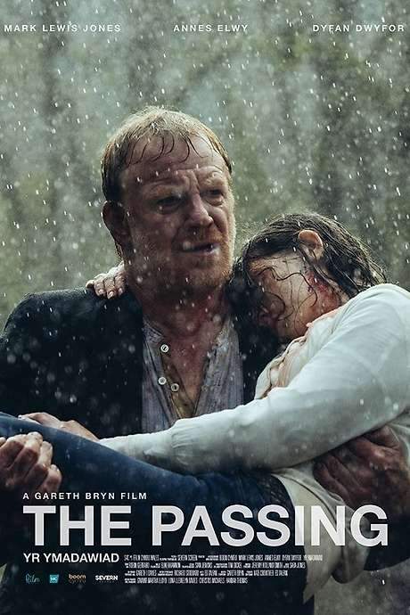 The Passing (2015) movie poster