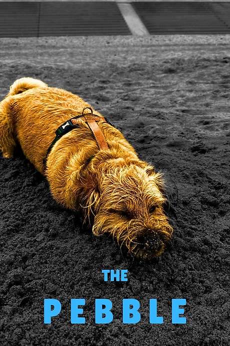 The Pebble (2022) movie poster