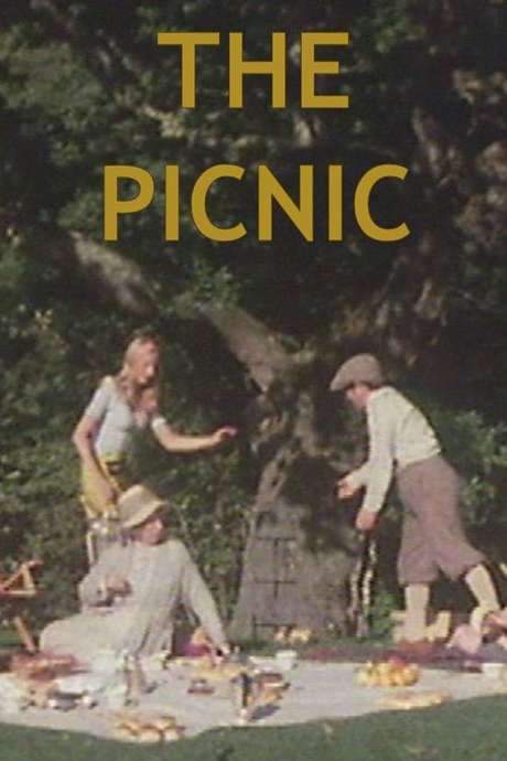 The Picnic (1976) movie poster