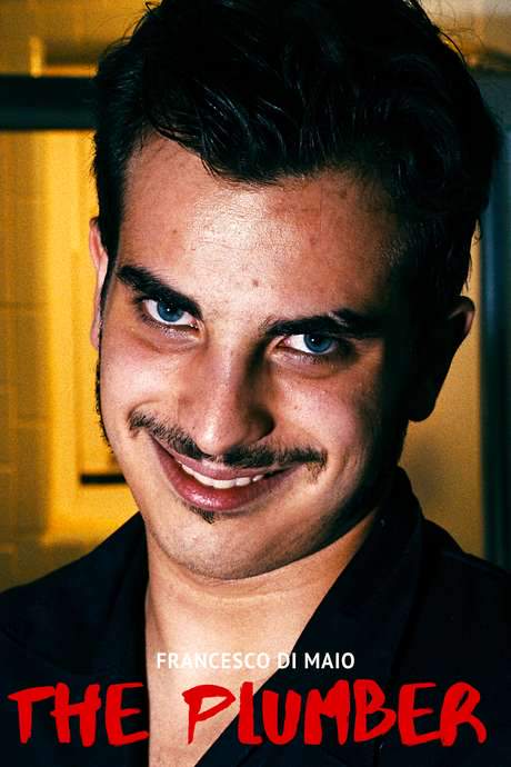 The Plumber (2020) movie poster