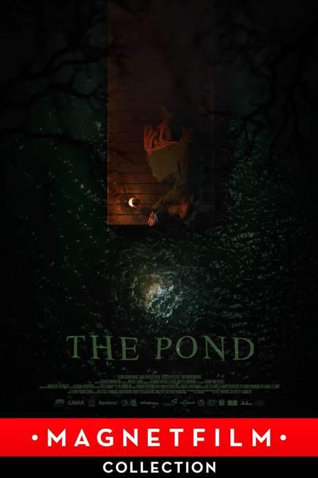 The Pond (2014) movie poster