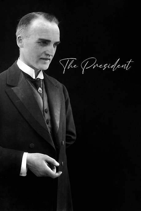 The President (1919) movie poster