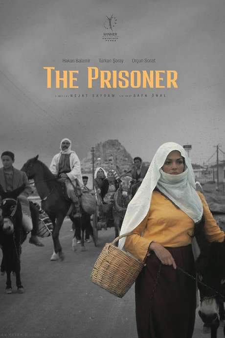 The Prisoner (1973) movie poster