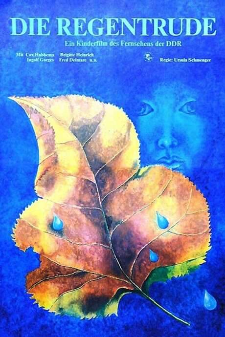 The Rainmaker (1976) movie poster