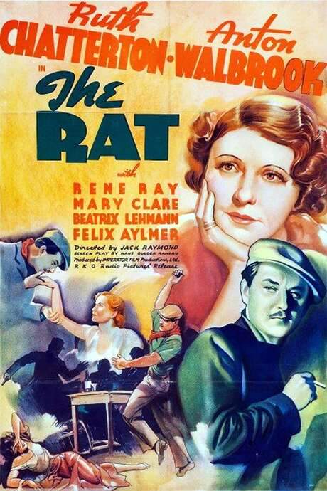 The Rat (1937) movie poster