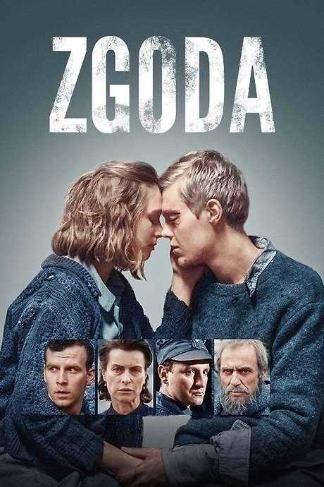 The Reconciliation (2017) movie poster