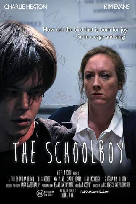 The Schoolboy (2015) movie poster