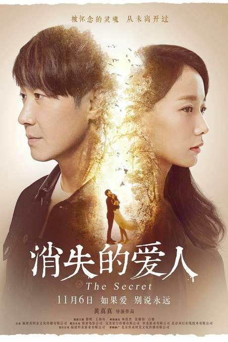 The Secret (2016) movie poster