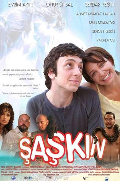 The Silly (2006) movie poster