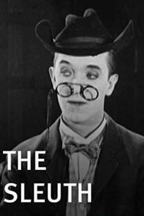 The Sleuth (1925) movie poster