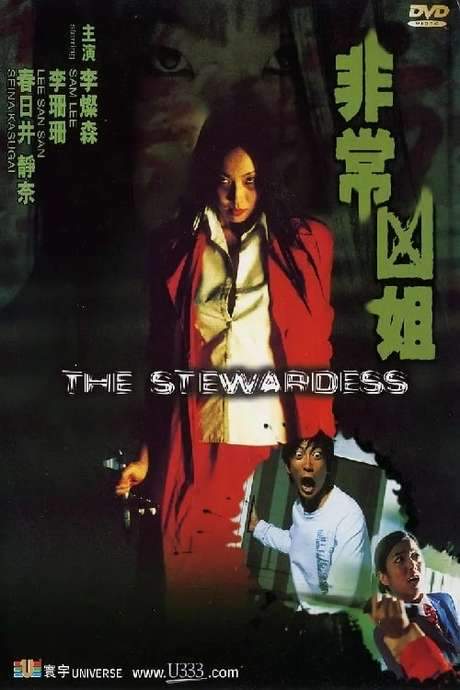 The Stewardess (2002) movie poster
