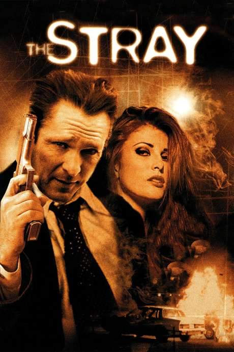 The Stray (2000) movie poster