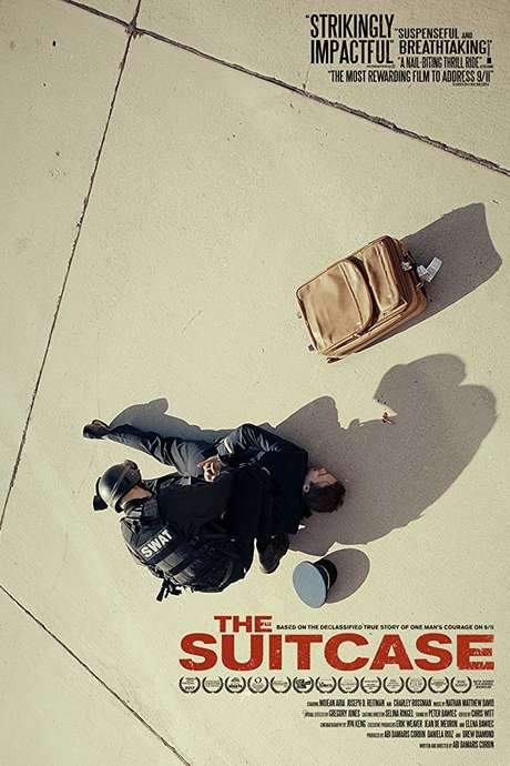 The Suitcase (2017) movie poster