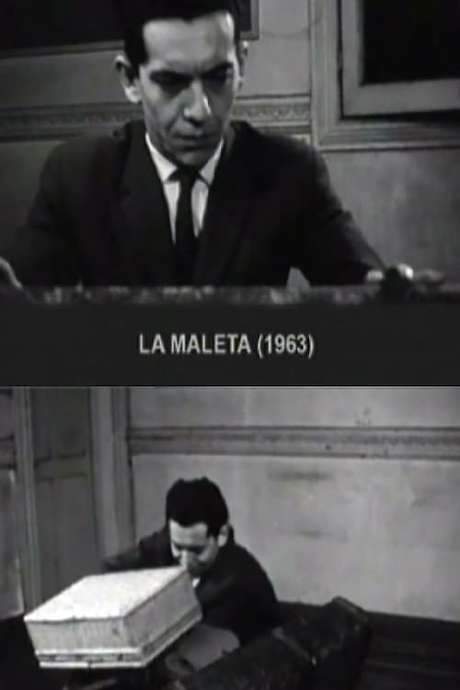 The Suitcase (1963) movie poster