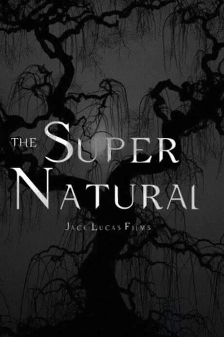 The Supernatural (2019) movie poster