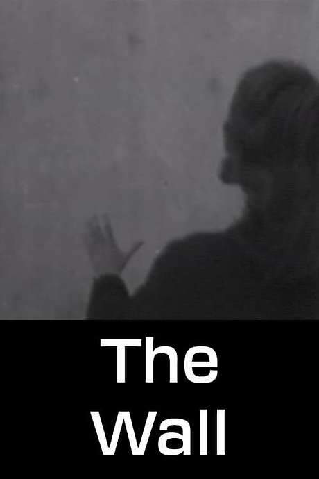 The Wall (1960) movie poster