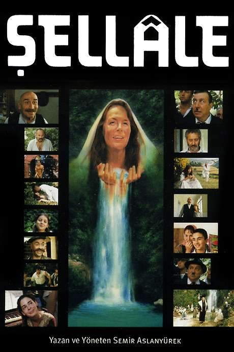 The Waterfall (2001) movie poster