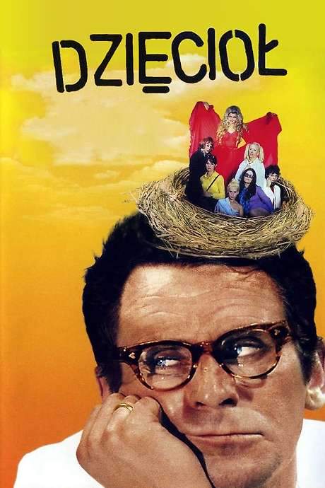 The Woodpecker (1971) movie poster