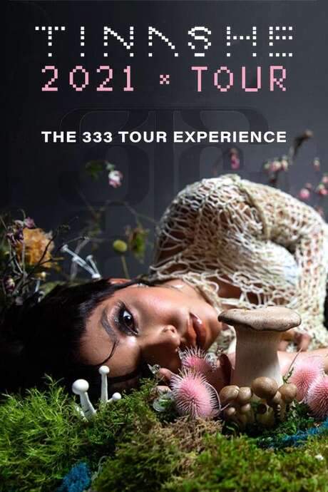 The 333 Tour Experience (2021) movie poster