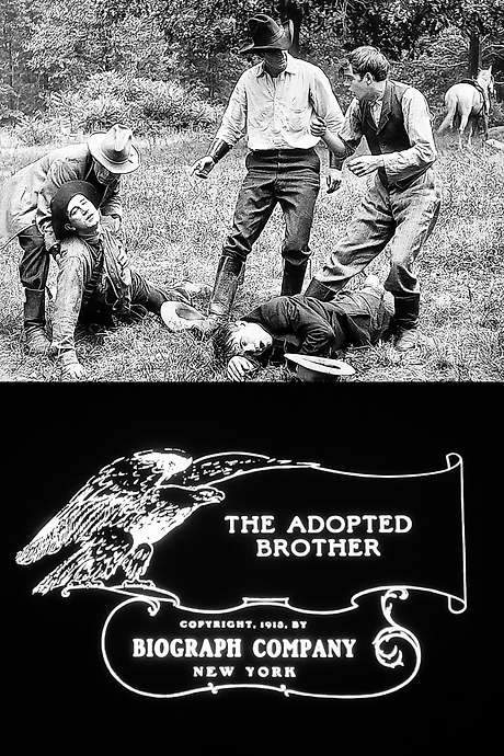 The Adopted Brother (1913) movie poster