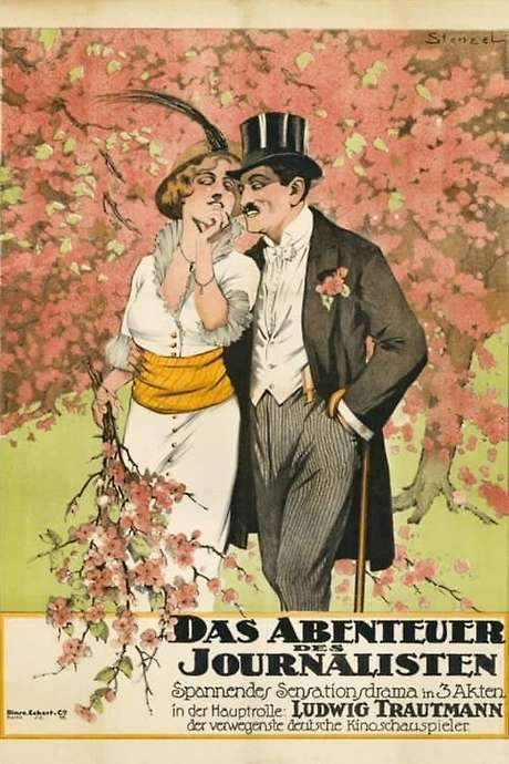 The Adventure of a Journalist (1914) movie poster