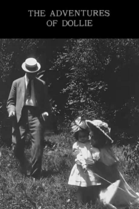 The Adventures of Dollie (1908) movie poster