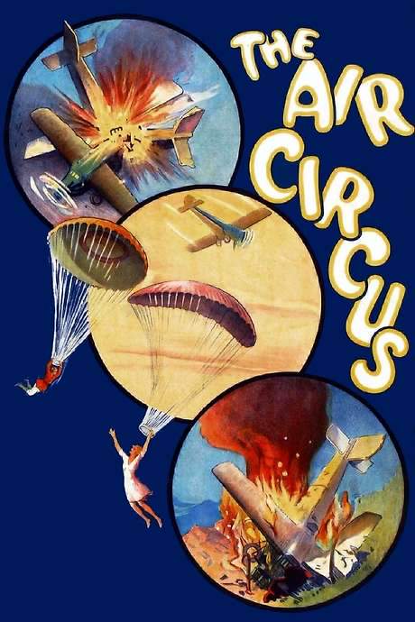 The Air Circus (1928) movie poster