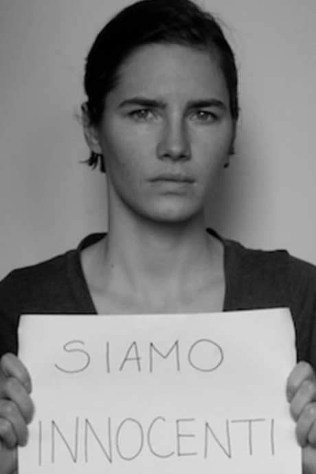 The Amanda Knox Saga (2014) movie poster