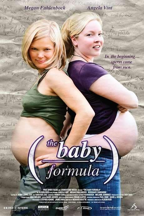 The Baby Formula (2008) movie poster