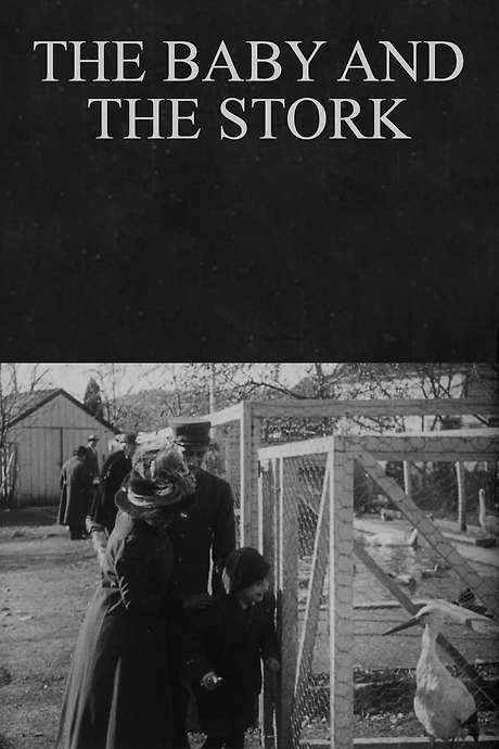 The Baby and the Stork (1912) movie poster