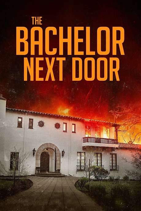 The Bachelor Next Door (2017) movie poster