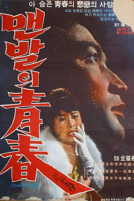 The Barefooted Young (1964) movie poster