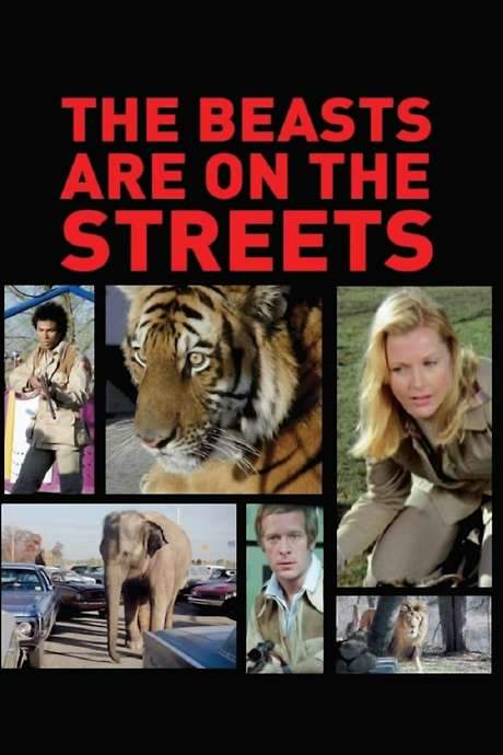The Beasts Are on the Streets (1978) movie poster
