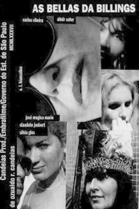 The Beauties of Billings (1987) movie poster