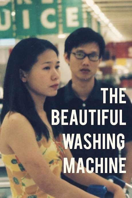 The Beautiful Washing Machine (2004) movie poster