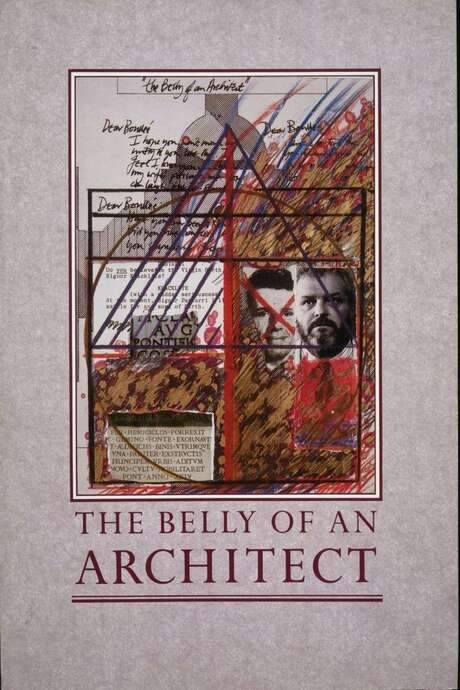 The Belly of an Architect (1987) movie poster