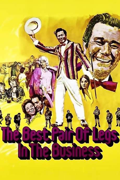 The Best Pair of Legs in the Business (1973) movie poster