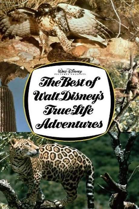 The Best of Walt Disney’s True-Life Adventures (1975) movie poster
