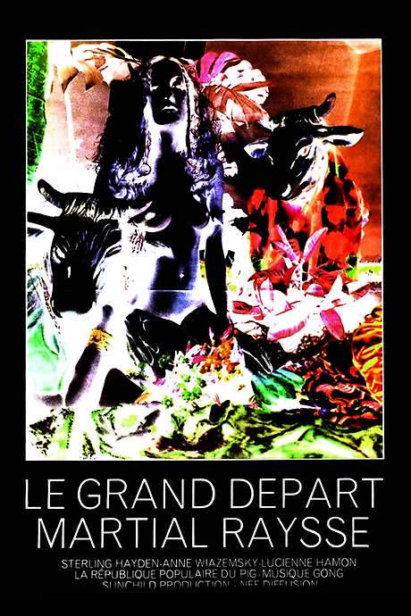 The Big Departure (1972) movie poster