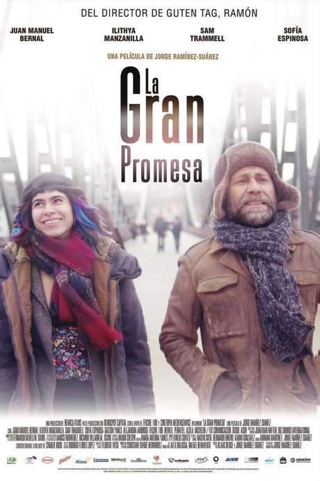 The Big Promise (2017) movie poster