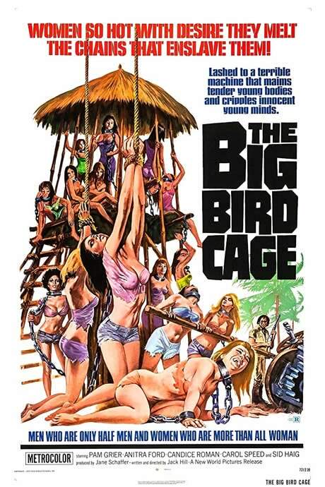 The Big Bird Cage (1972) movie poster