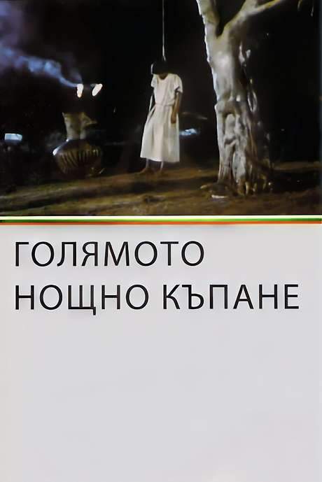 The Big Night Bathe (1980) movie poster