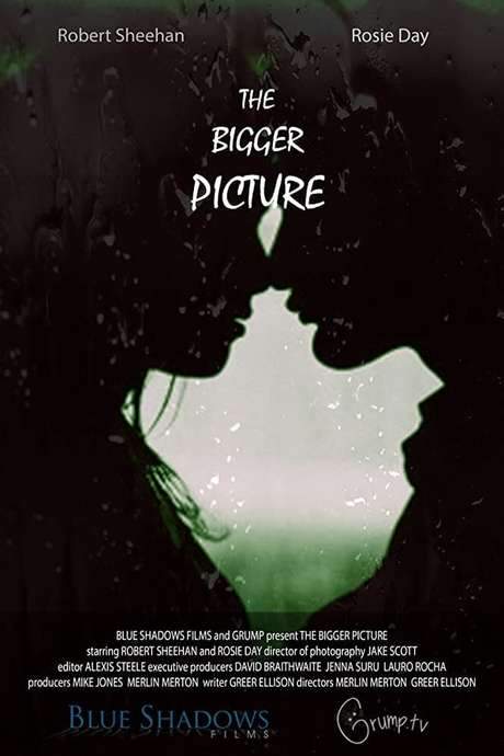 The Bigger Picture (2016) movie poster