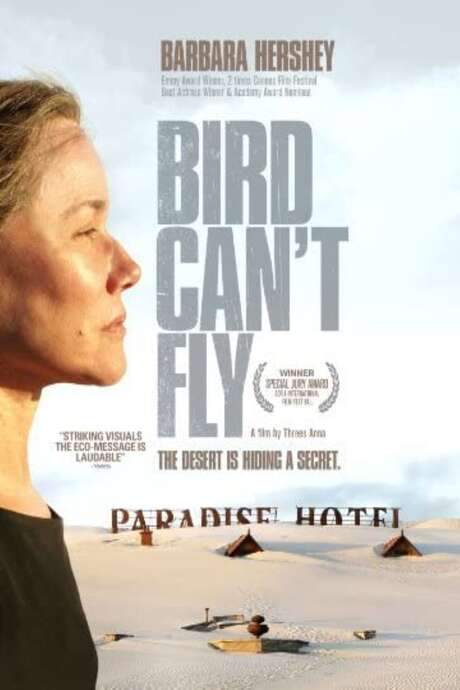The Bird Can’t Fly (2008) movie poster