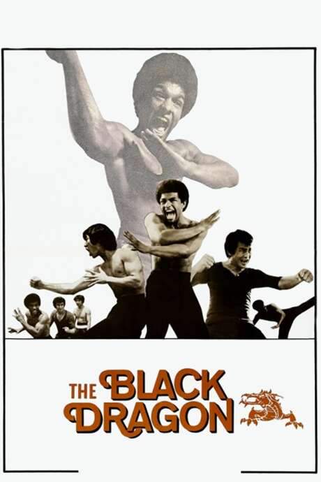 The Black Dragon (1974) movie poster