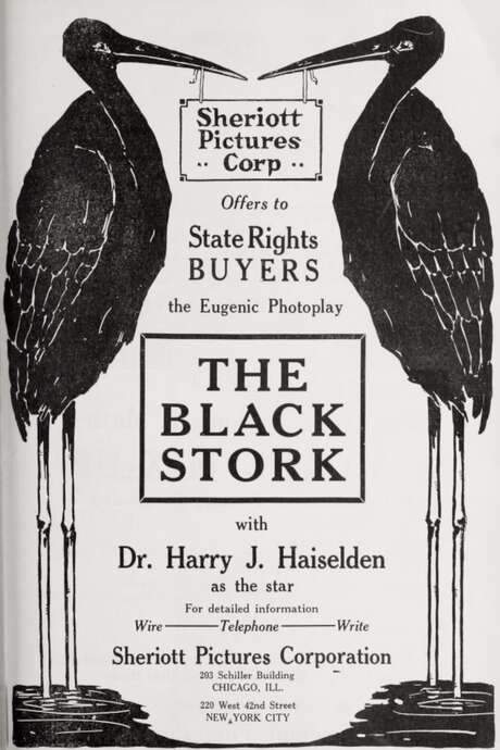 The Black Stork (1917) movie poster